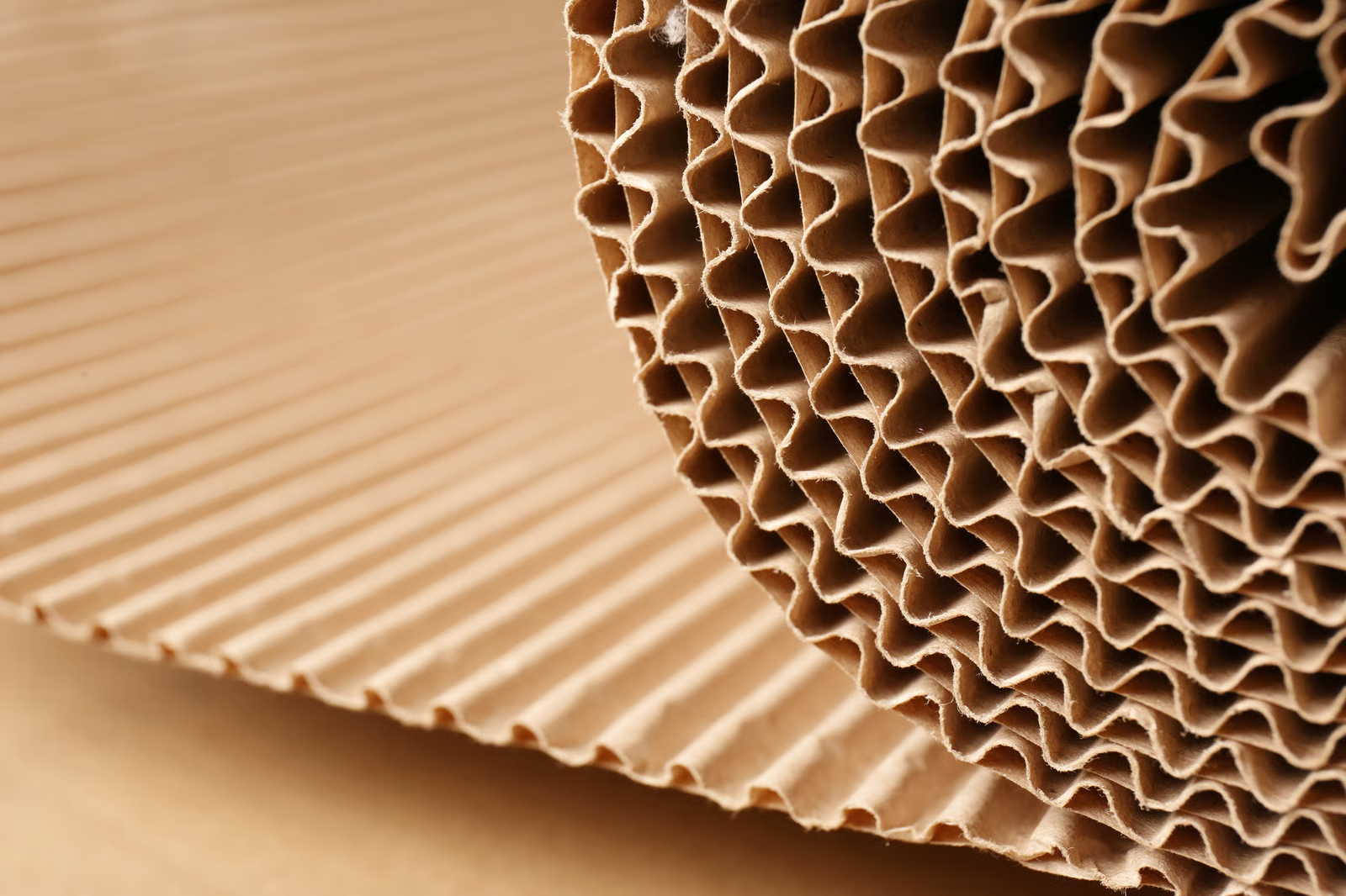 Corrugated Packaging Flute